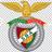 Swazzys Benfica