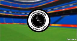 Boreham wood fc