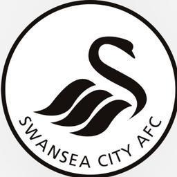 VFA Swansea