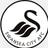 VFA Swansea