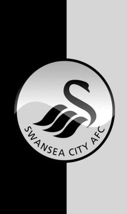 Swansea fc