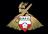 Doncaster Rovers