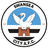 Swansea city