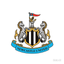 Newcastle
