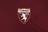 Torino Fc