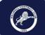 Millwall fc