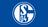 FC  Schalke 04