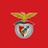 Benfica Fc